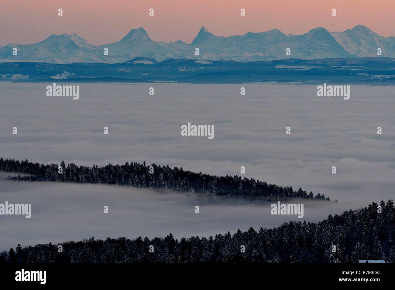 La France, Territoire de Belfort, Massif des Vosges, le Ballon d'Alsace,  mer de nuages et le panorama sur les Alpes Photo Stock - Alamy