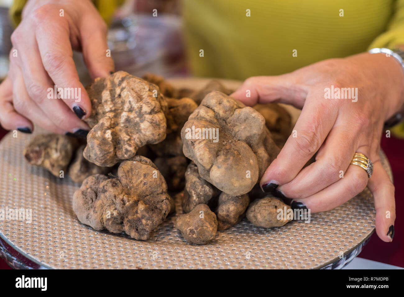 La truffe blanche. Tuber magnatum Pico, recueillies dans le bois local et en vente lors de la foire de novembre Banque D'Images