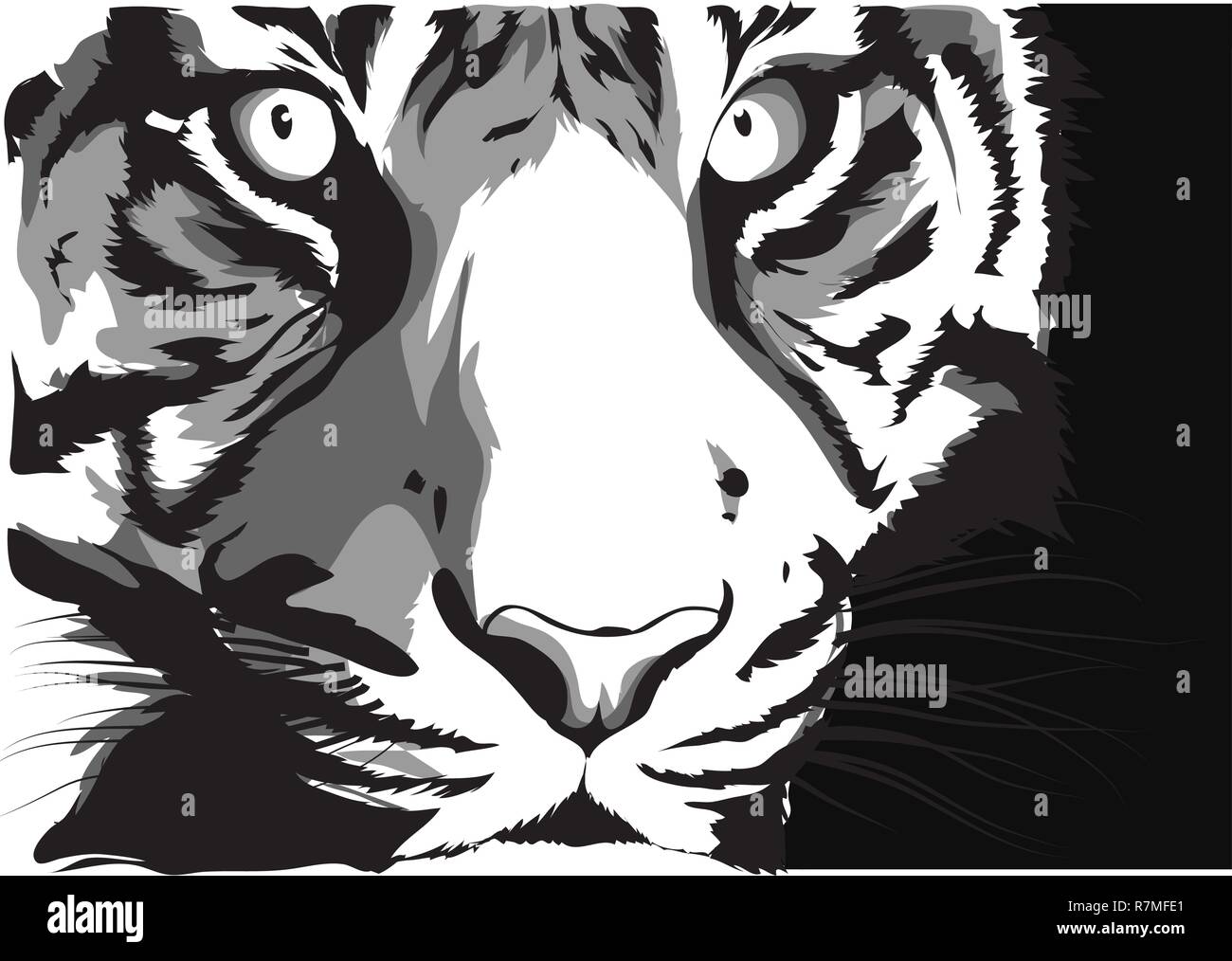Noir et blanc croquis d'un visage de tigre Illustration de Vecteur