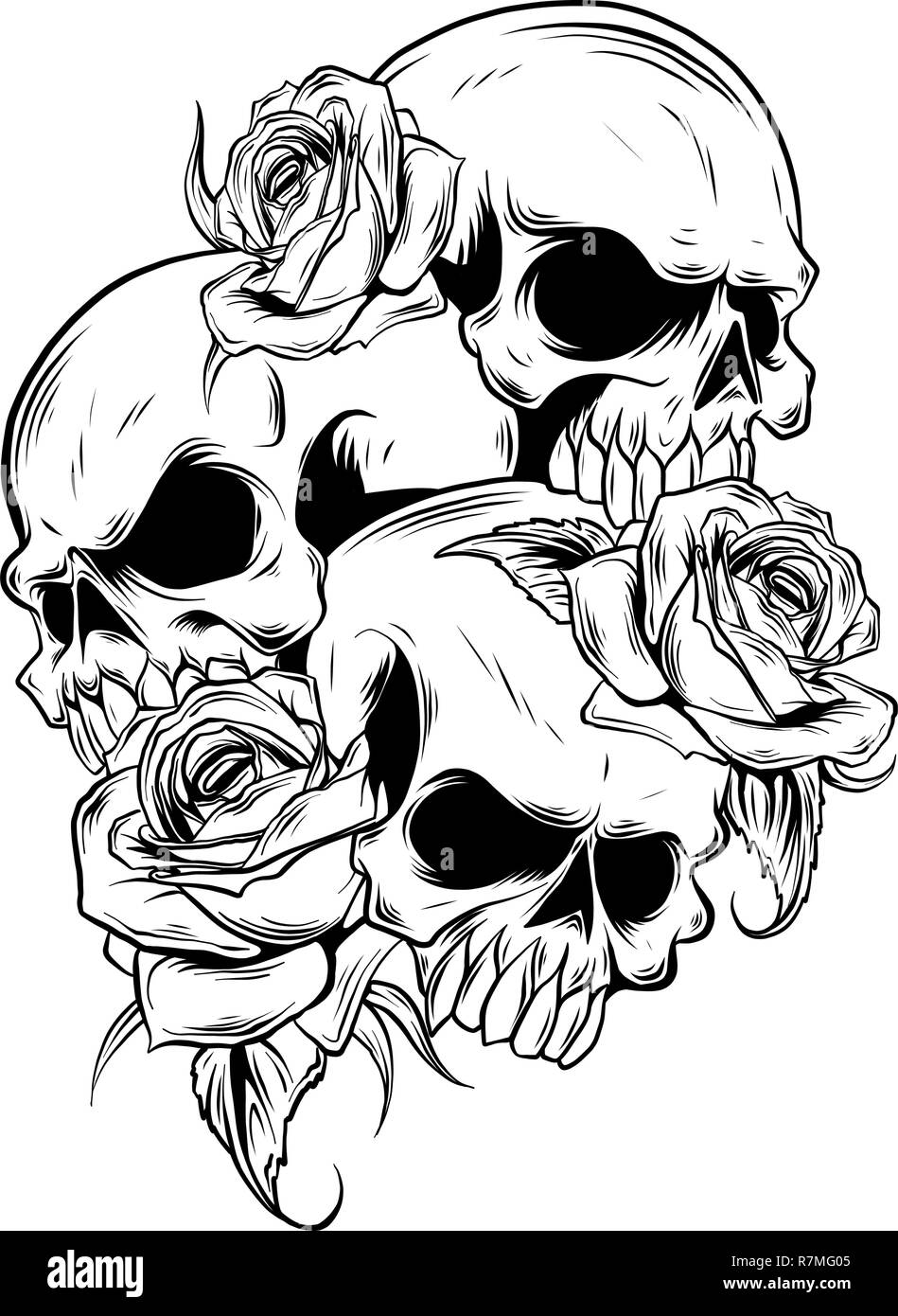 Illustration vecteur de roses et de crânes sur fond blanc Illustration de Vecteur