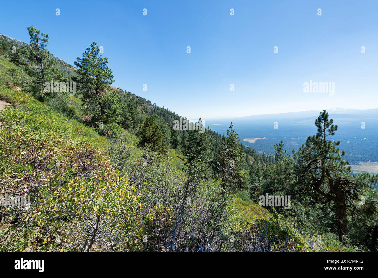 Vue paysage vu de Black Butte près de Bend, Oregon Banque D'Images