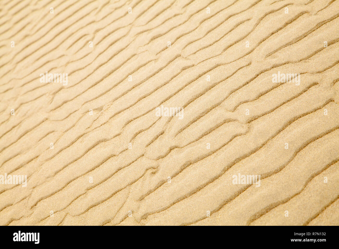 Plage de sable avec Tan de fond d'ondulation. Banque D'Images