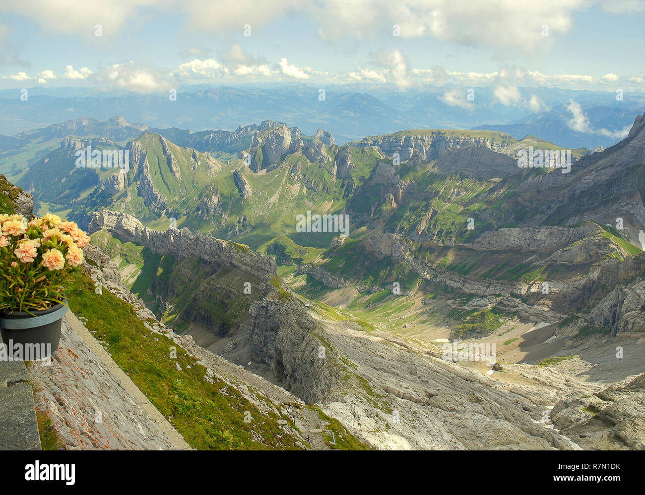 Vue panoramique sur la montagne alpes scène avec des fleurs en pot noir à Bludenz Autriche Banque D'Images