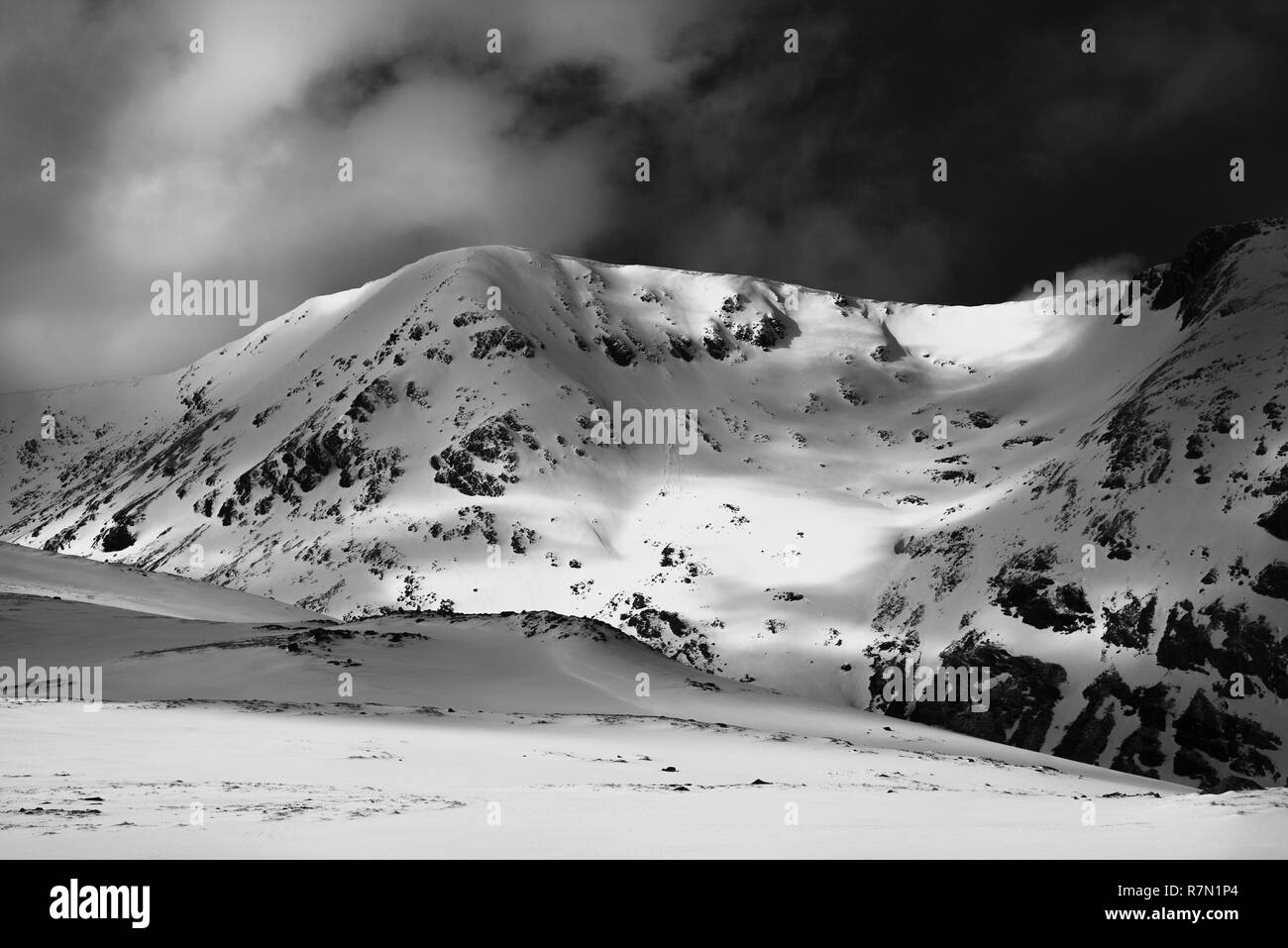 L'Écosse, de la nature, de l'extérieur Banque D'Images