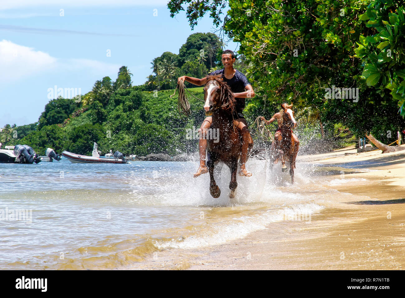 Jeune homme cheval d'équitation sur la plage sur l'île de Taveuni (Fidji). Taveuni est la troisième plus grande île des Fidji. Banque D'Images