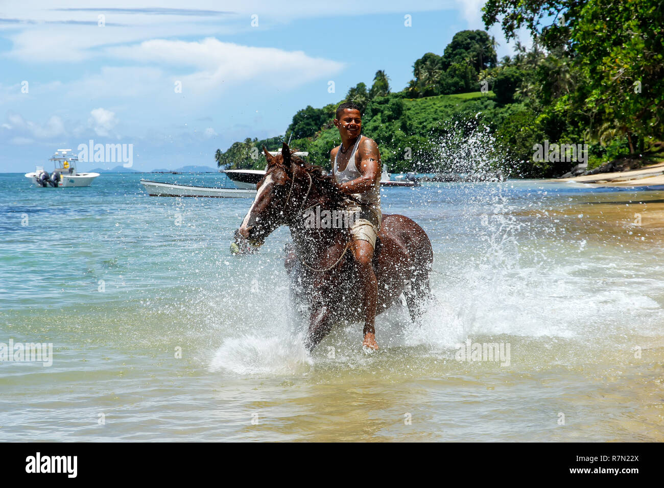 Jeune homme cheval d'équitation sur la plage sur l'île de Taveuni (Fidji). Taveuni est la troisième plus grande île des Fidji. Banque D'Images