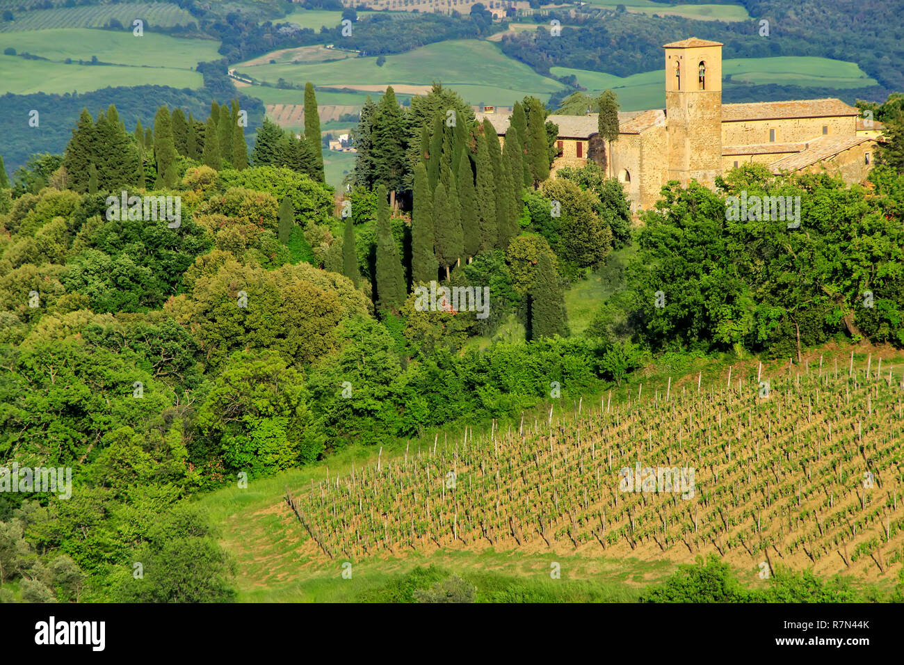 Vue sur campagne et une ferme près de Montalcino, Val d'Orcia, Toscane, Italie. Montalcino est célèbre pour son vin Brunello di Montalcino. Banque D'Images