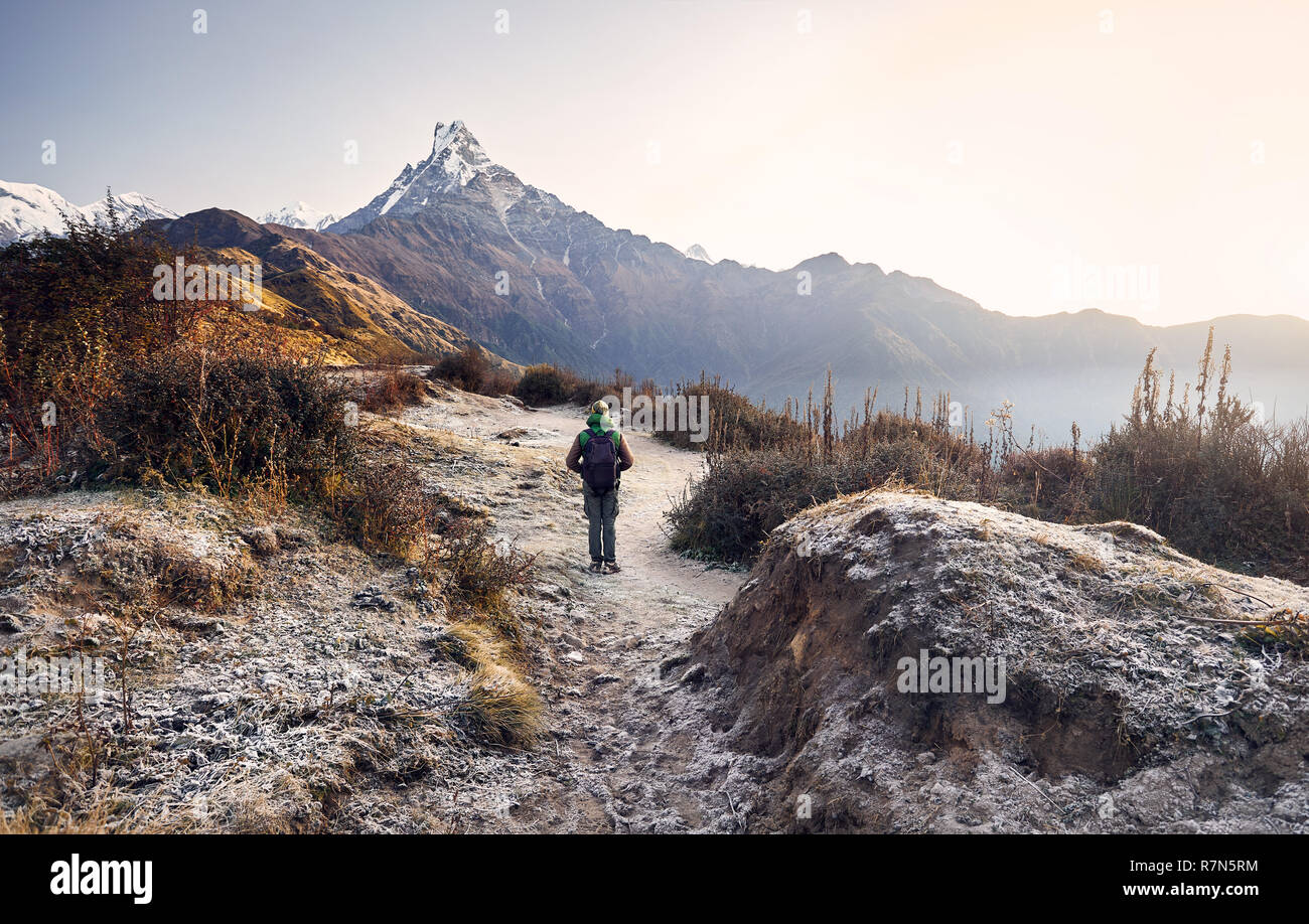 Sac à dos avec des touristes profitant de la vue des montagnes de l'himalaya enneigé Machapuchare au Népal Banque D'Images