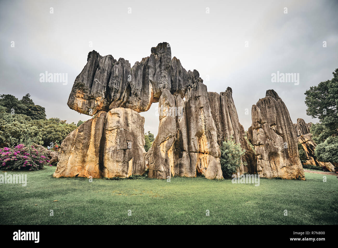 Formations calcaires dans la forêt de pierre (Shilin), harmonisation des couleurs appliquées, Yunnan, Chine. Banque D'Images