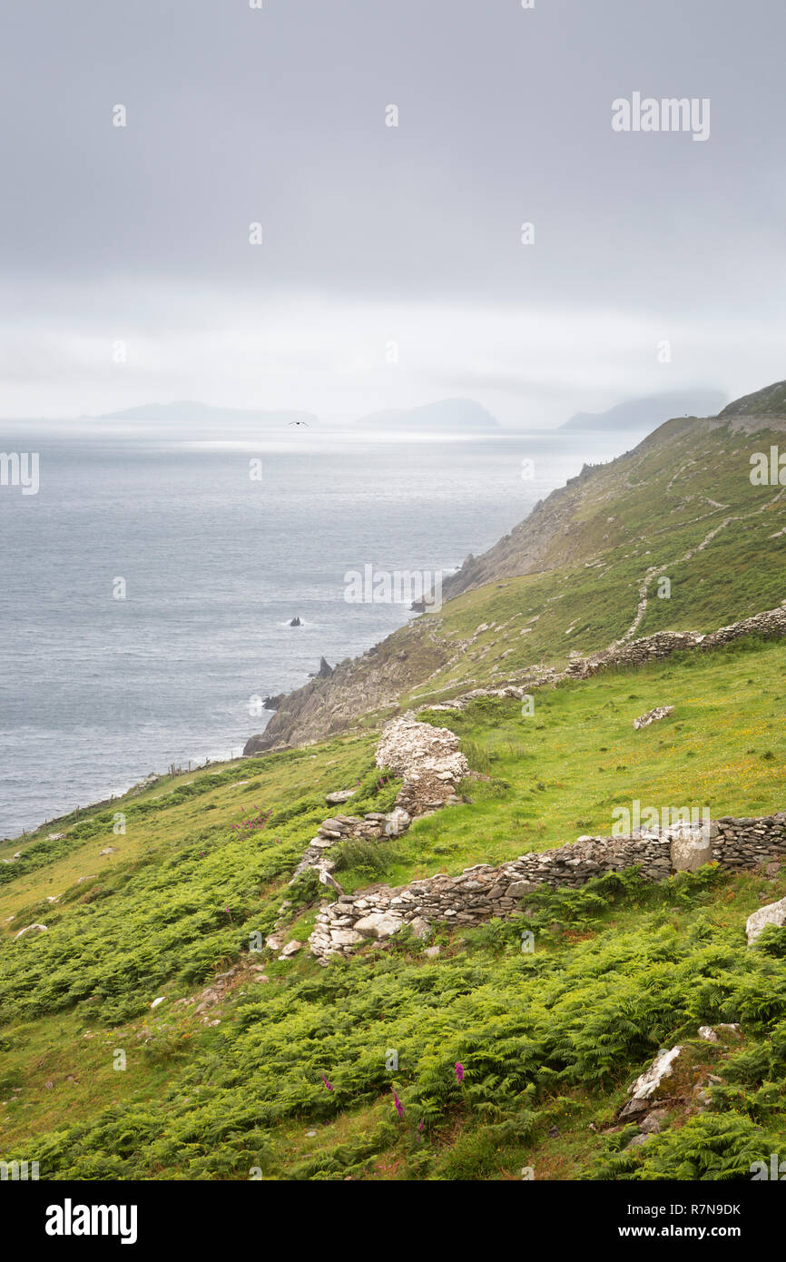 Péninsule de Dingle, vue de Slea Head et les îles Blasket, Irlande. Banque D'Images
