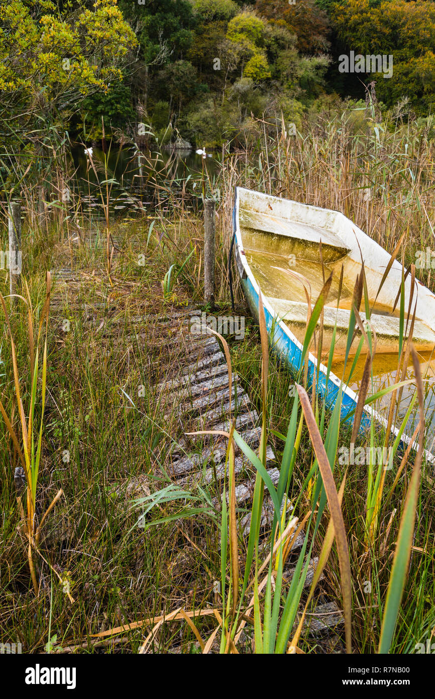 Envahi par la banque d'une petite jetée en bois avec le loch et a atterri en bateau. Il y a deux cygnes sur le lac en arrière-plan. Banque D'Images