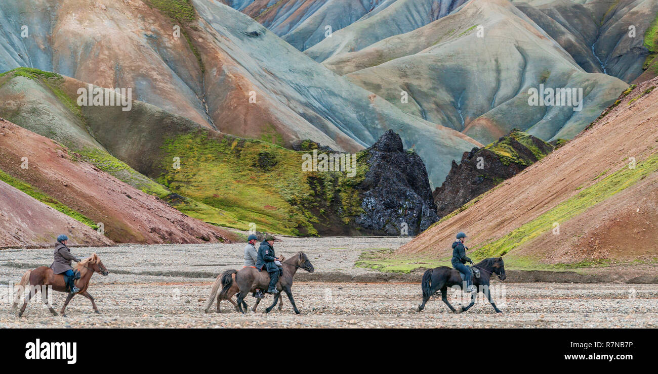 Les agriculteurs à cheval, moutons, rassemblement Central Highlands Landmannalaugar, Islande Banque D'Images