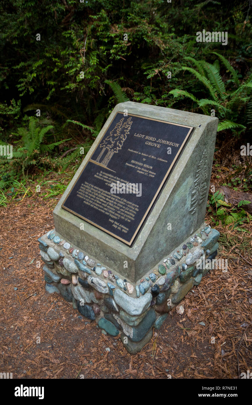 California redwoods National Park, CA - le 20 novembre 2018 : Histoire de la zone imprimée sur un panneau le long de la piste à la Lady Bird Johnson Grove Trail dans Banque D'Images