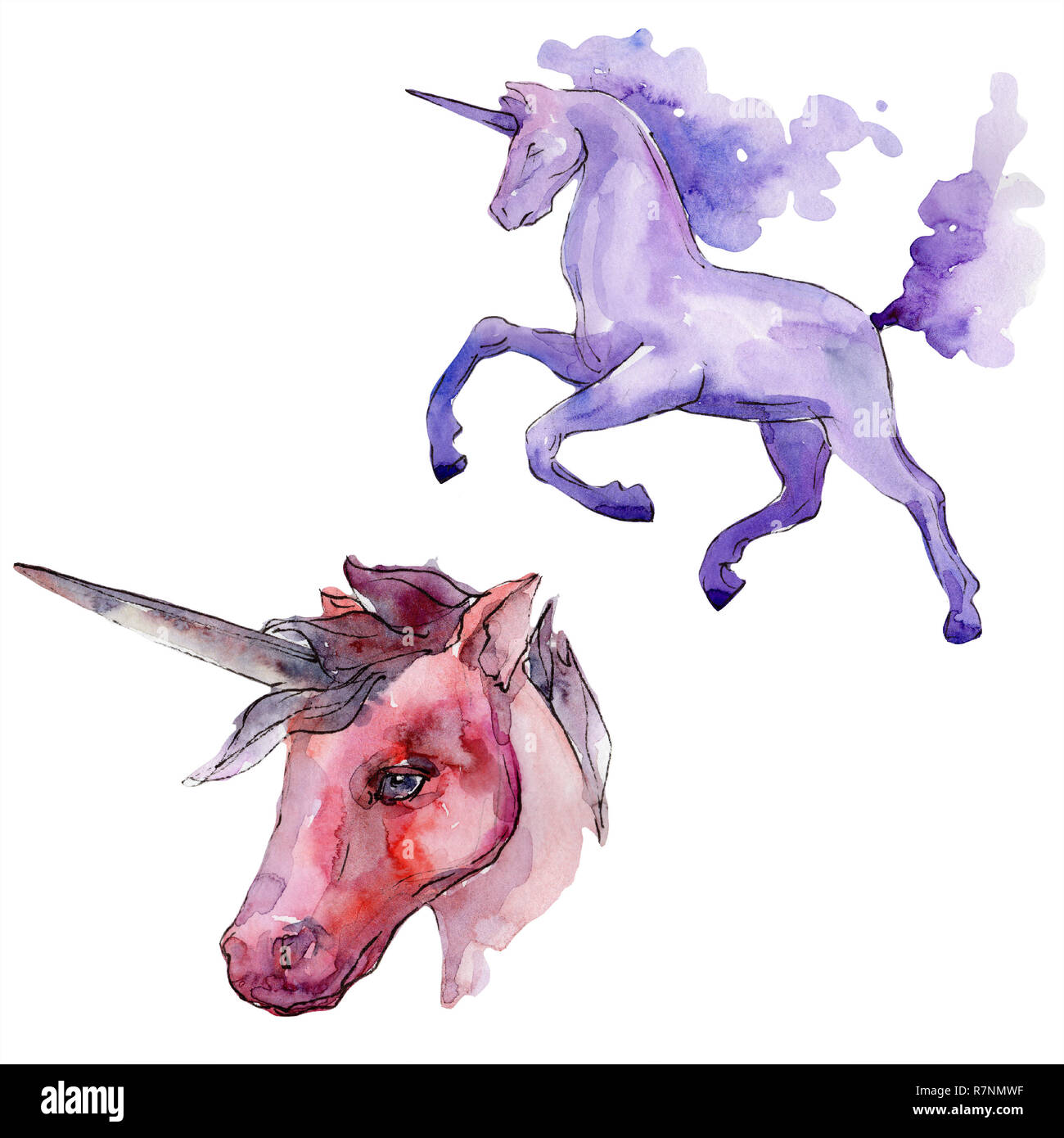 Cute isolés UNICORN. Jeu de fond à l'aquarelle. Aquarelle Dessin aquarelle. Unicorn isolées de l'élément d'illustration. Banque D'Images