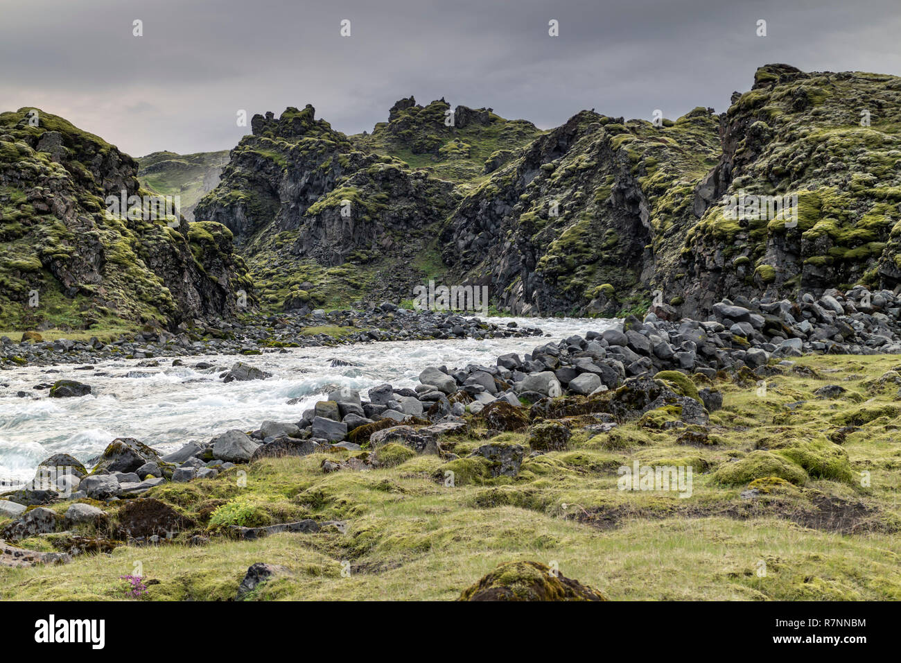 Le bord du champ de lave Eldgja, Syori-Ofaera Hólaskjól, rivière, Sud de l'Islande Banque D'Images
