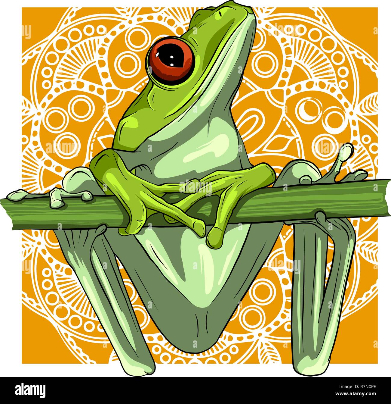 Illustration Of Toad Photos Illustration Of Toad Images