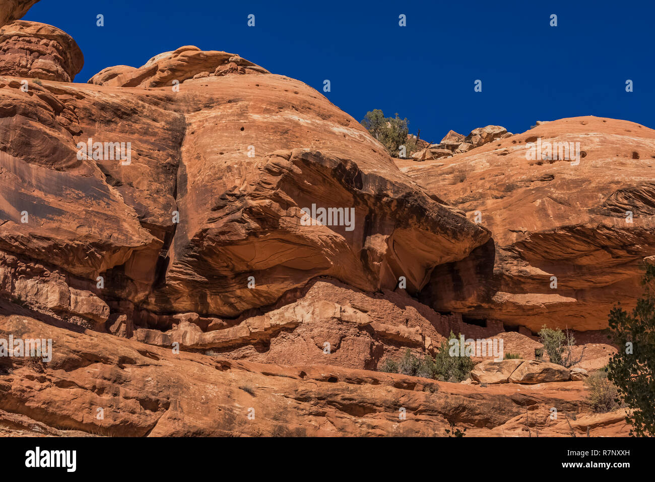 Recherche à travers le Canyon McLoyd vers lune Chambre Ruine sur Cedar Mesa, construit par la fin des Pueblos ancestraux et une fois partie d'Oreilles Ours National Monument Banque D'Images