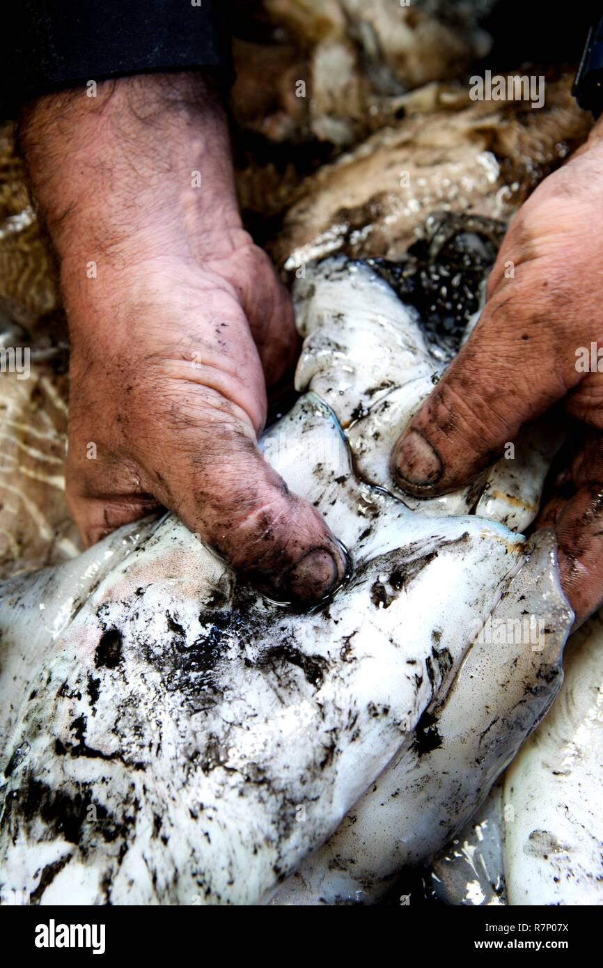 France, Manche, Blainville sur Mer Banque D'Images