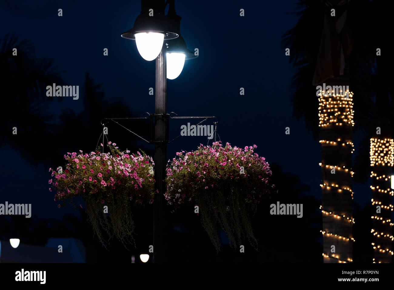 Download Lampadaires sur le theme de la plage Desktop Wallpaper Free