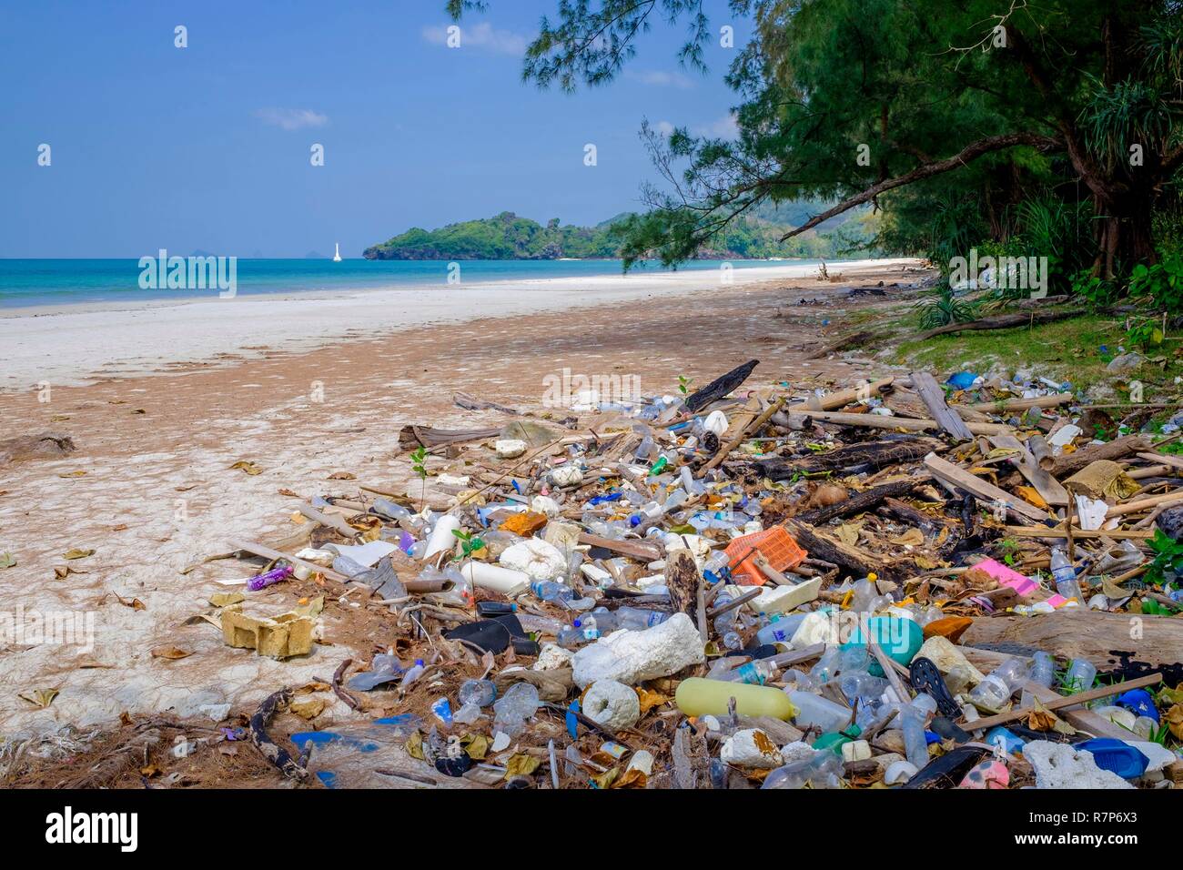 La Thaïlande, province de Phang Nga, Parc national marin de Tarutao, Ko Tarutao island, de détritus provenant de la mer au cours de la mousson sur Ao Pante Malacca beach Banque D'Images