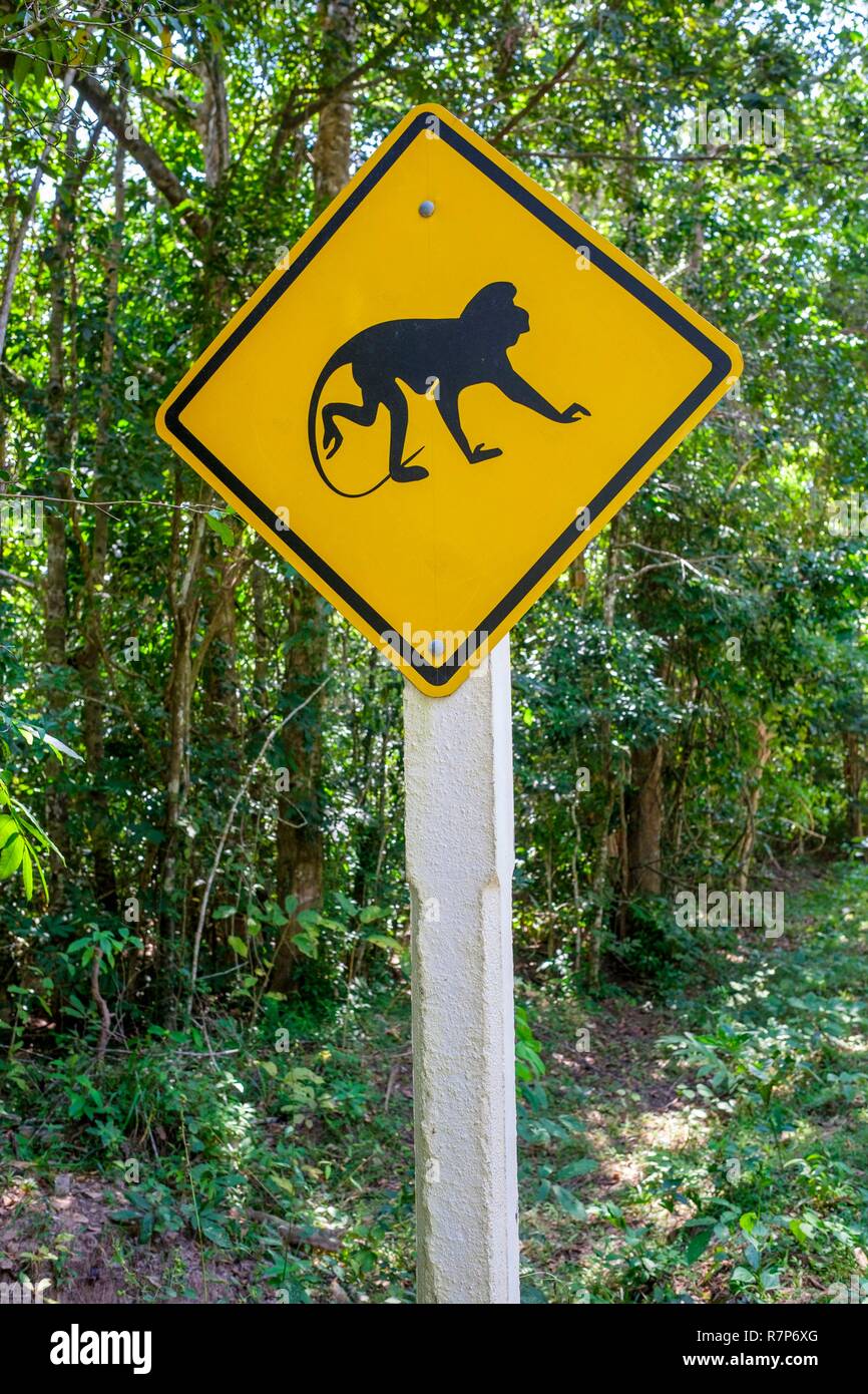 La Thaïlande, province de Phang Nga, Parc national marin de Tarutao, Ko Tarutao island, avertissement sur la route qui traverse l'île Banque D'Images