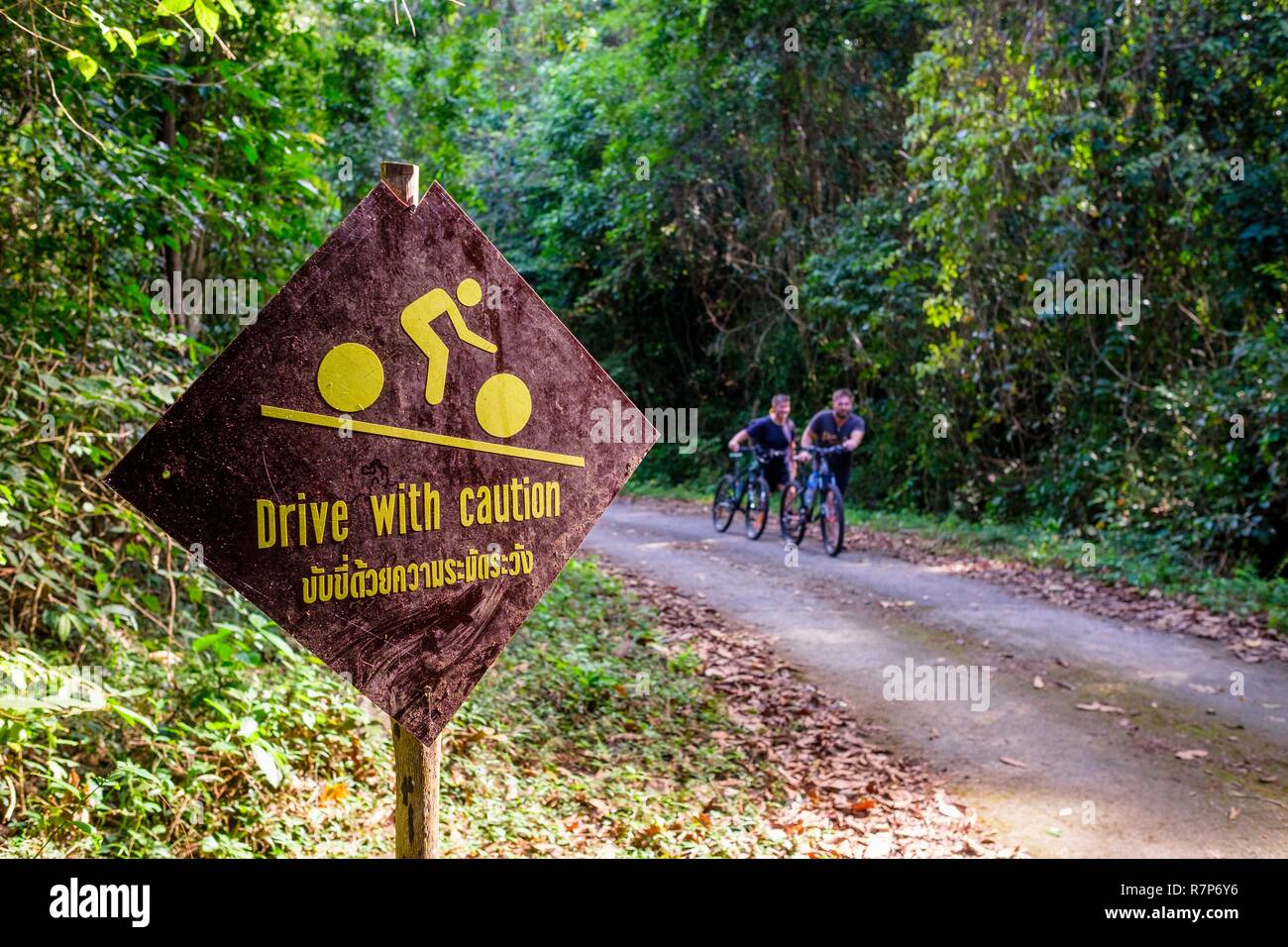 La Thaïlande, province de Phang Nga, Parc national marin de Tarutao, Ko Tarutao island, la route qui traverse l'île a des pentes abruptes Banque D'Images