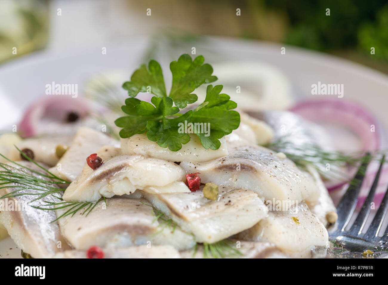 Avec l'oignon pickle de hareng, huile, poivre et l'aneth sur la plaque. Banque D'Images