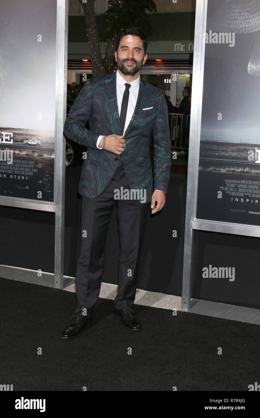 Los Angeles, CA, USA. Dec 10, 2018. Ignacio Serricchio à arrivés pour la première MULE, Regency Village Theatre - Westwood, Los Angeles, CA, 10 décembre 2018. Credit : Priscilla Grant/Everett Collection/Alamy Live News Banque D'Images