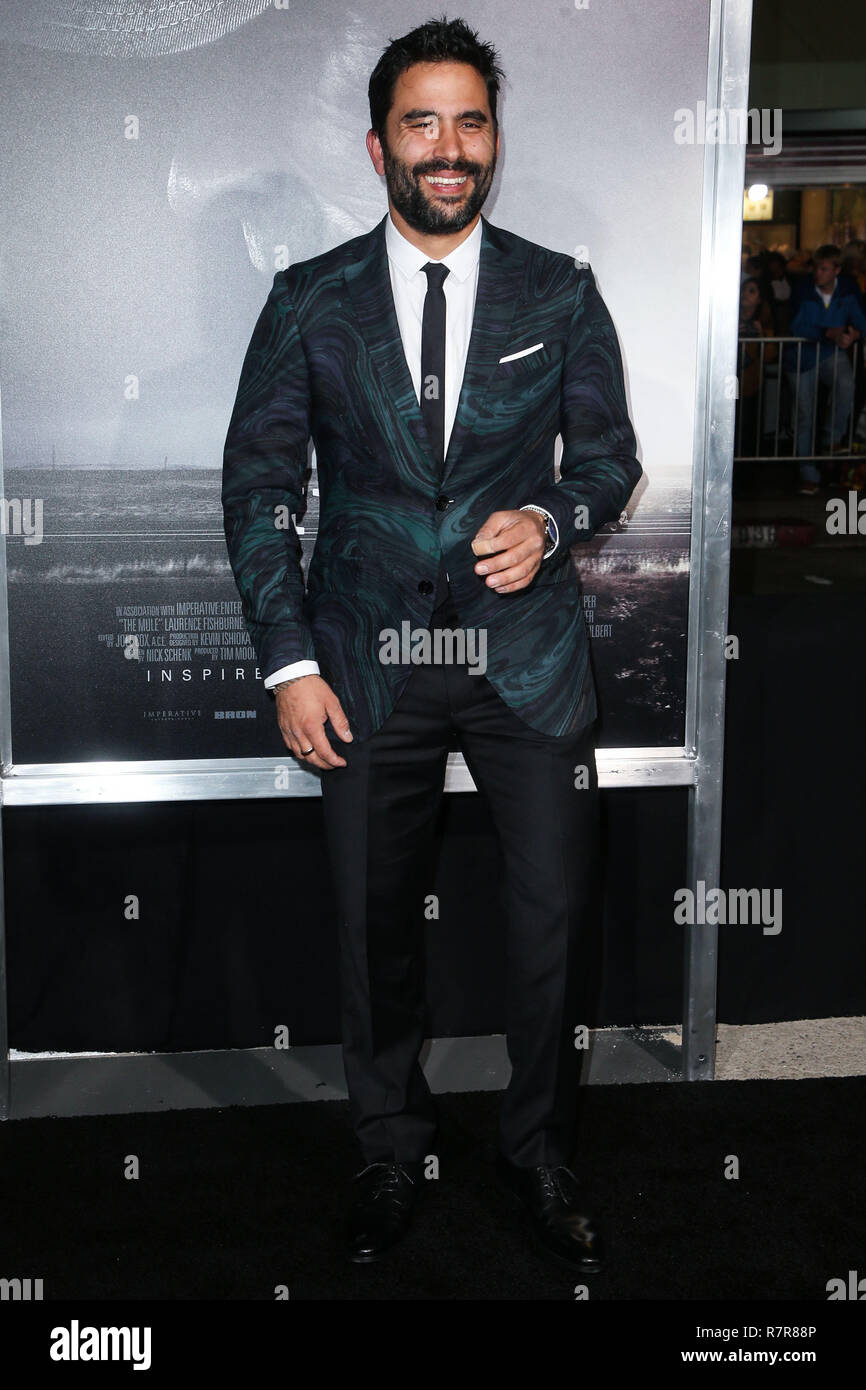 Los Angeles, Californie, USA. 10 Décembre, 2018. Ignacio Serricchio acteur arrive à la Los Angeles Premiere de Warner Bros Pictures' 'La mule' qui s'est tenue au Regency Village Theatre le 10 décembre 2018 à Westwood, Los Angeles, Californie, États-Unis. (Photo par Image Press Office) : Crédit Agence de Presse Image/Alamy Live News Banque D'Images