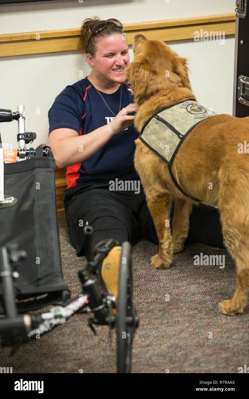 Vétéran de l'armée américaine, Christy Gardner, se détend avec son ministère de la Défense à l'arrivée de chiens de service certifié pour le guerrier et l'Armée de transition des soins cliniques à Fort Bliss au Texas, le 27 mars 2017. Environ 80 blessés, malades et blessés des soldats d'active et les anciens combattants sont en compétition dans huit différents sports 2-6 Avril à représentent l'équipe à l'Armée 2017 Ministère de la Défense Jeux de guerrier. Banque D'Images