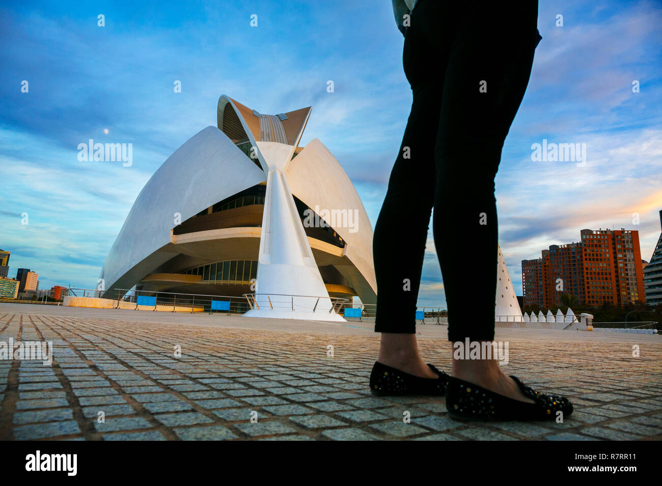 Palais des Arts de la Reine Sofia. Cité des Arts et des Sciences . Palau de les Arts Reina Sofia. Architecte Santiago Calatrava.Valence. Comunidad Valencia. L'Espagne. Banque D'Images