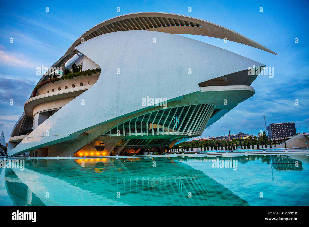 Palais des Arts de la Reine Sofia. Cité des Arts et des Sciences . Palau de les Arts Reina Sofia. Architecte Santiago Calatrava.Valence. Comunidad Valencia. L'Espagne. Banque D'Images