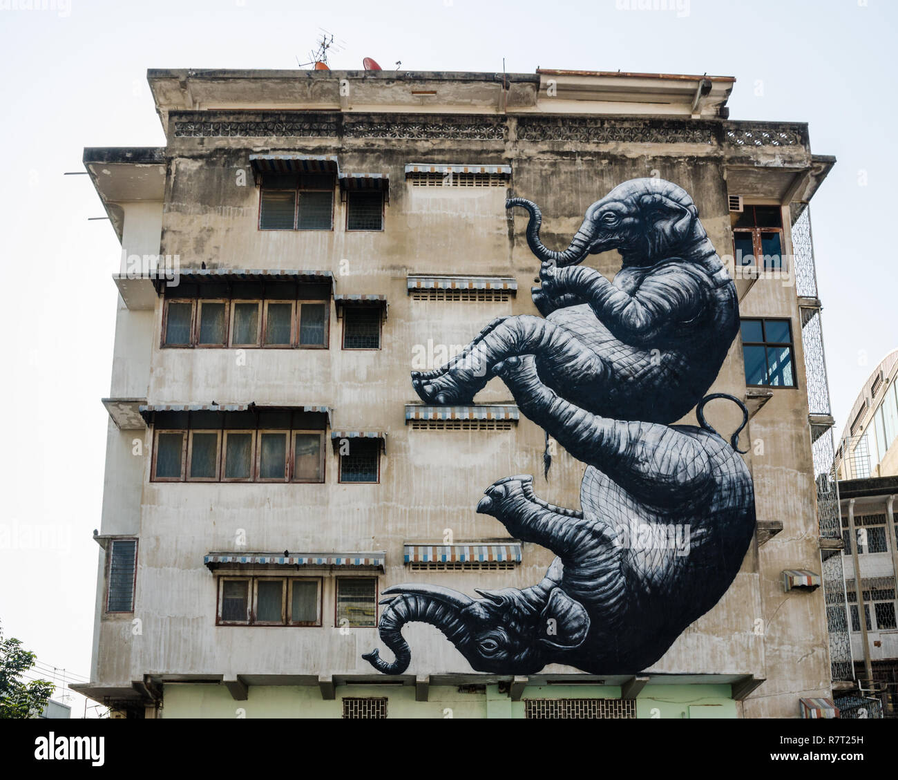 Les éléphants par l'artiste de rue, ROA, Bangkok, Thaïlande Banque D'Images