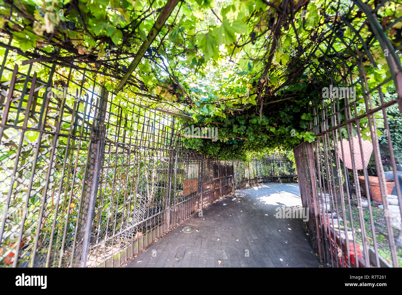 Londres, Royaume-Uni - 13 septembre 2018 : quartier quartier de Chelsea, rue, chemin d'entrée de tunnel alley Worlds End pépinière, centre de jardinage, plan vert Banque D'Images