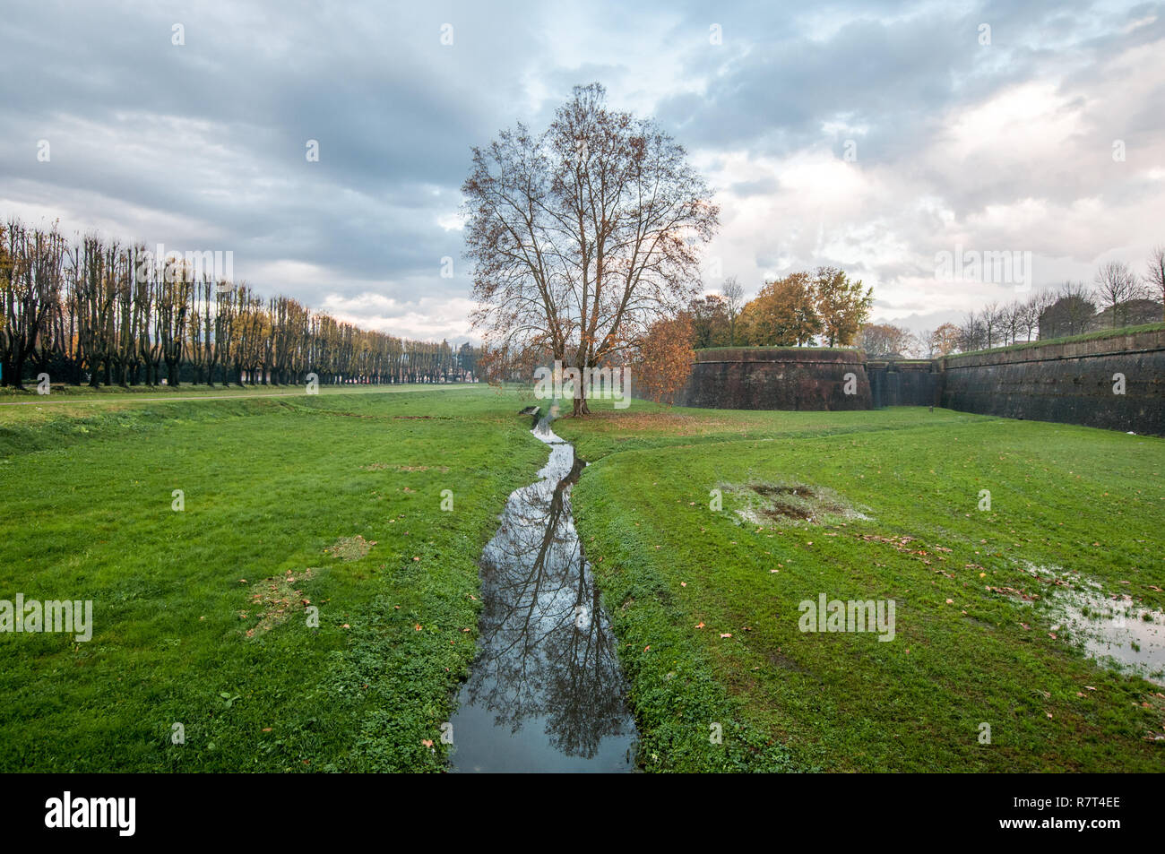 Lucca. Les murs de la ville antique dans un jour de pluie Banque D'Images