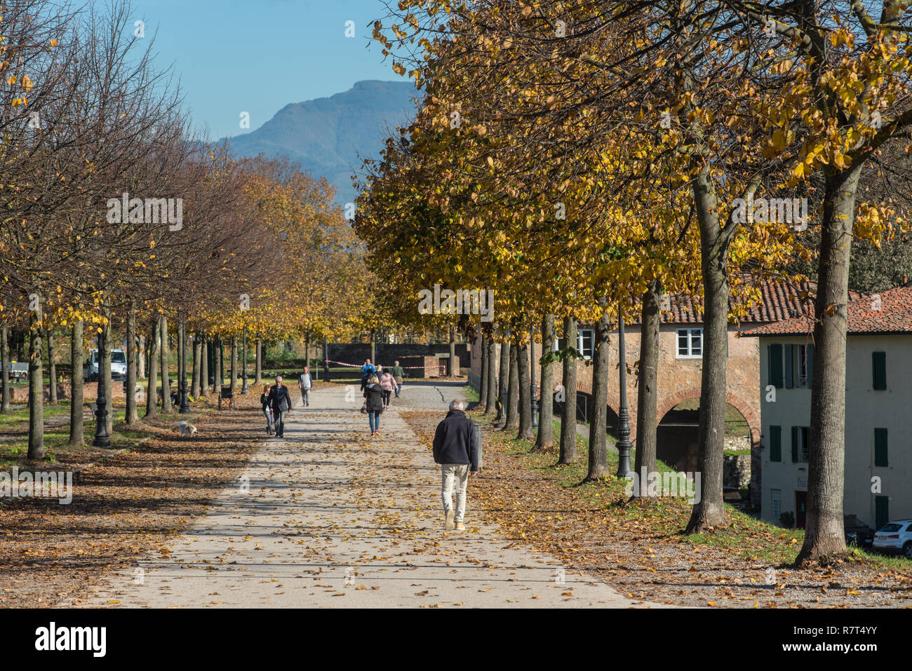 Lucca. Sur les murs de la ville Banque D'Images