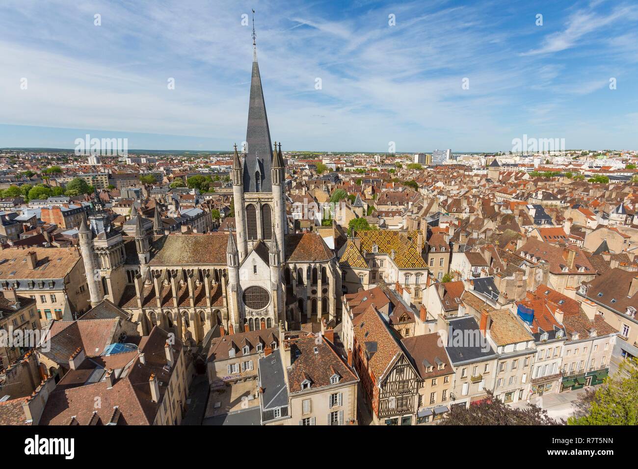 France, Côte d'Or, paysage culturel de climats de Bourgogne classé au Patrimoine Mondial de l'UNESCO, l'Eglise Notre Dame, Dijon Banque D'Images