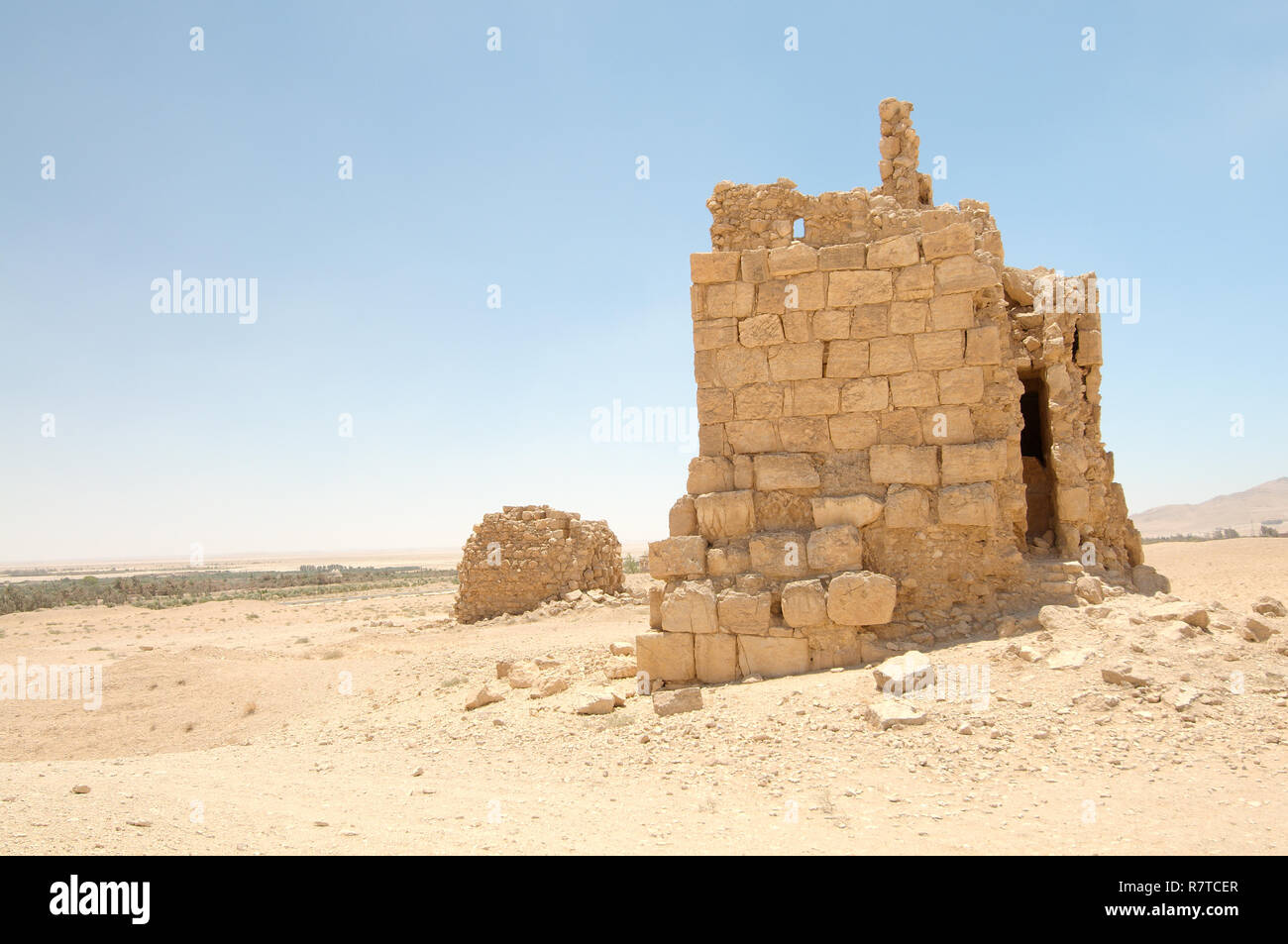 Tombe de la tour, Palmyre, Tadmor, Palmyre, Homs, Syrie Gouvernorat Banque D'Images