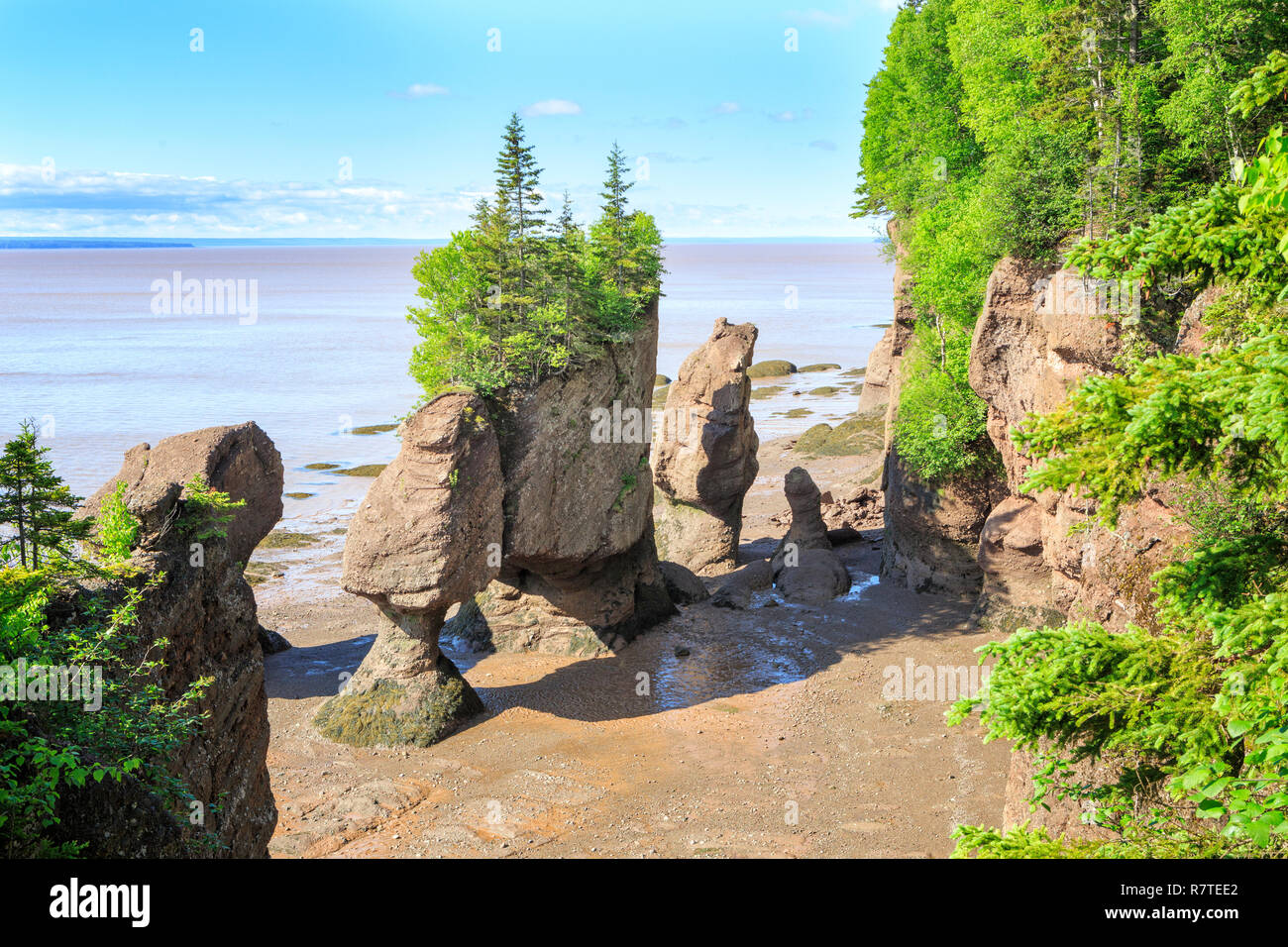 Hopewell Rocks sont les formations de pierre dans 'Les Roches' Parc Privincial au Nouveau-Brunswick, Canada. Les formations rocheuses ont été causés par l'érosion des marées. Banque D'Images