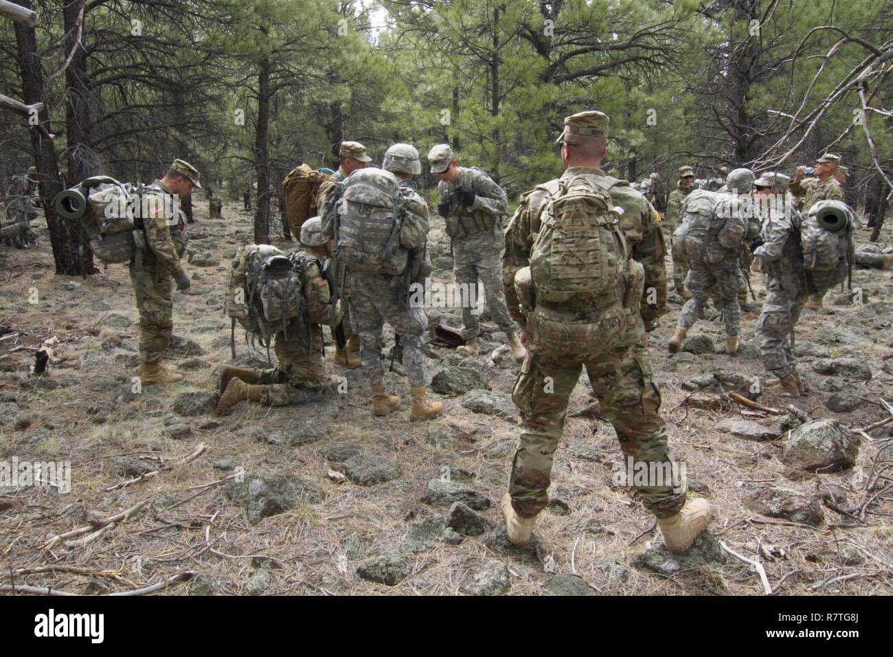 Cadets Les cadets de veiller sur 2e Peloton, où ils se préparent à se déplacer après une pause tactique au cours de l'exercice de formation conjointe sur le terrain organisée par l'université Northern Arizona au camp près de centre de formation Navaho de Flagstaff, Arizona. Environ 200 élèves de 6 univeristies dans tout l'Arizona et le Mexique pour tester leurs connaissances acquises au cours de ROTC. Banque D'Images