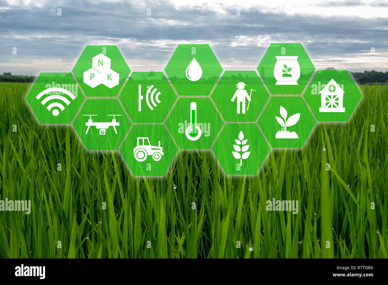 Internet Things Agriculture Concept Icon Smart Farming Photos ...