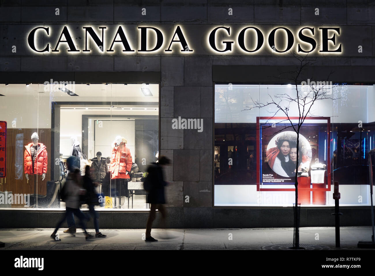 Canada goose store Banque de photographies et d'images à haute résolution -  Alamy