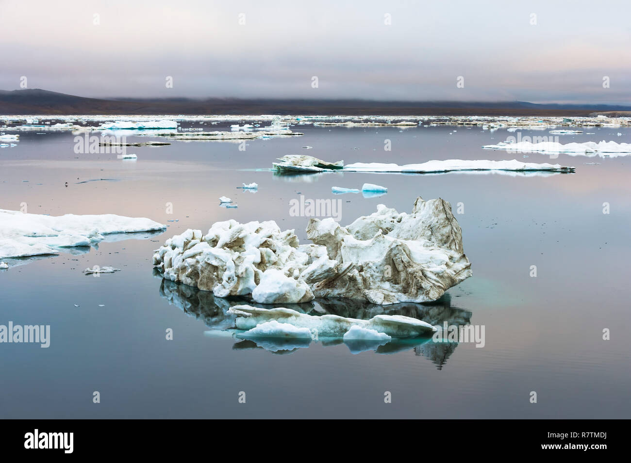 Plaques de glace au Cap Waring, Site du patrimoine mondial de l'UNESCO, l'île Wrangel, District fédéral de l'Extrême-Orient, Russie Banque D'Images