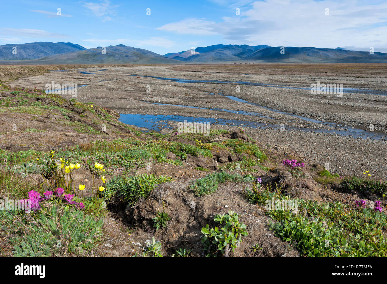 Riverbed, douteux, près de l'île Wrangel, Village douteux, District fédéral de l'Extrême-Orient, Russie Banque D'Images