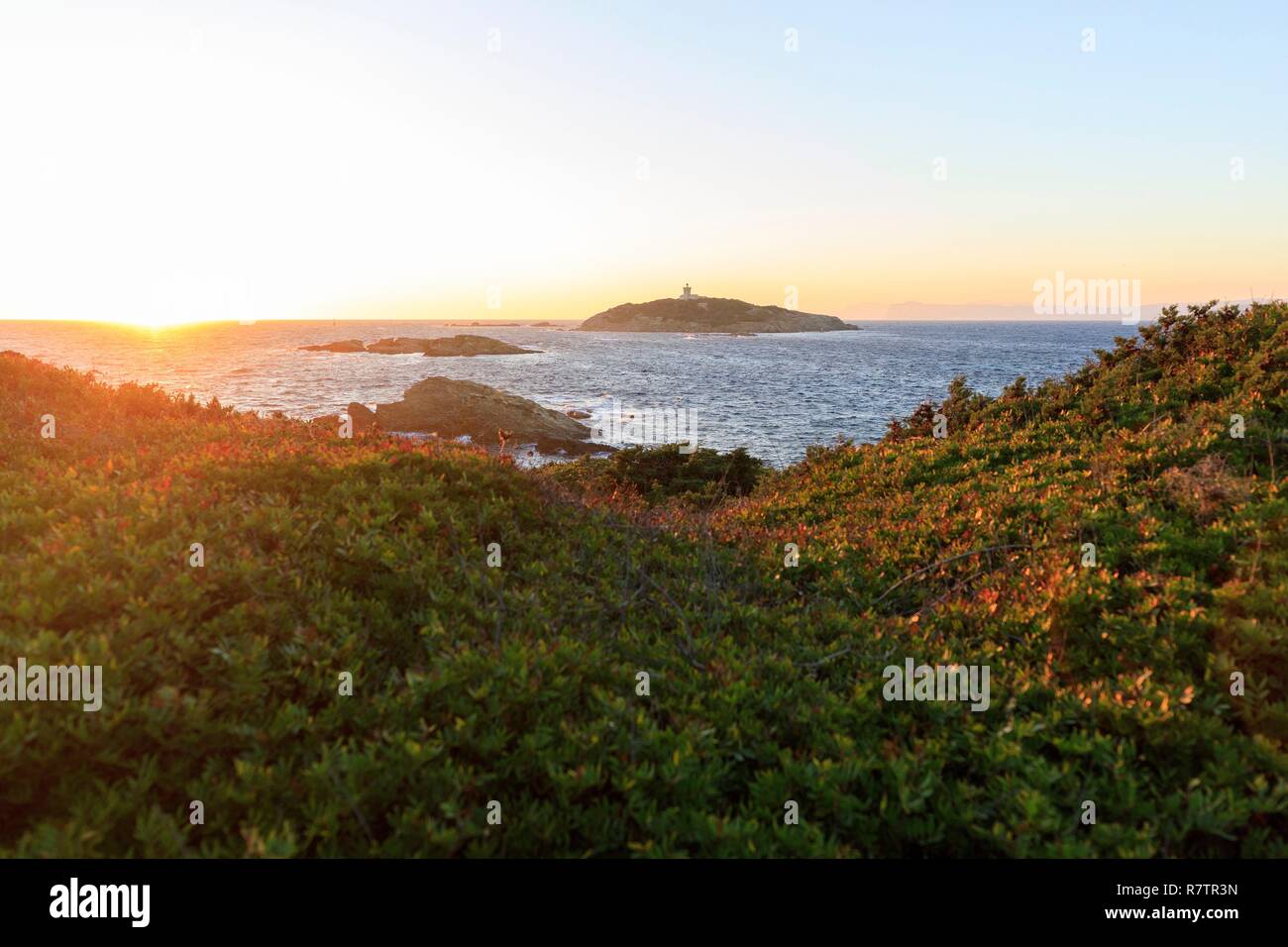 La France, Var, Six Fours les plages, Archipel des Embiez, La Tour Fondue, l'île des Embiez island dans l'arrière-plan Banque D'Images