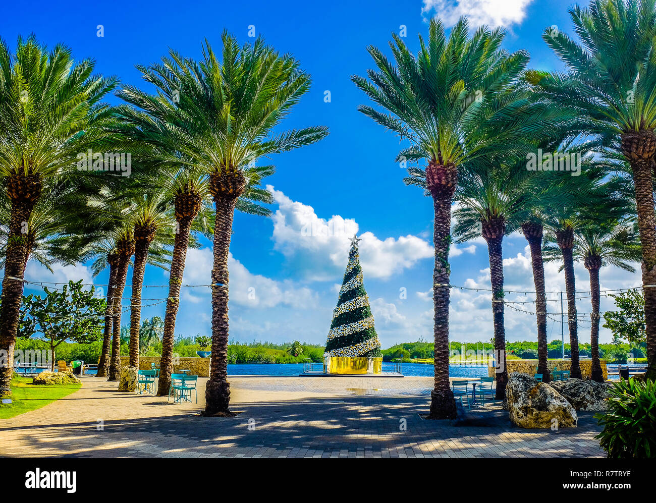 Arbre de Noël à Camana Bay, une ville en bord de mer au bord de la mer des Caraïbes sur Grand Cayman, îles Caïman Banque D'Images