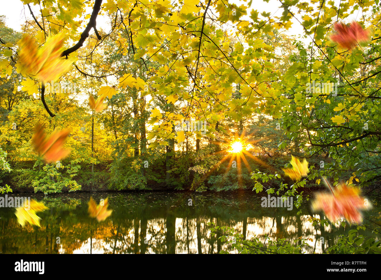 Paysage d'automne Banque D'Images