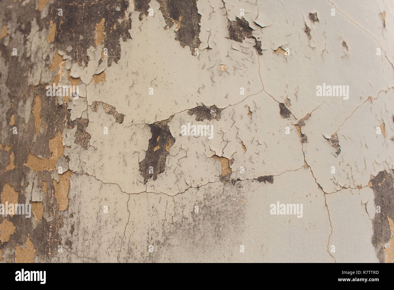 Gratuit Images La Texture Du Mur De Brique Enduit Blanc Mur De Briques Blanchis dernière par