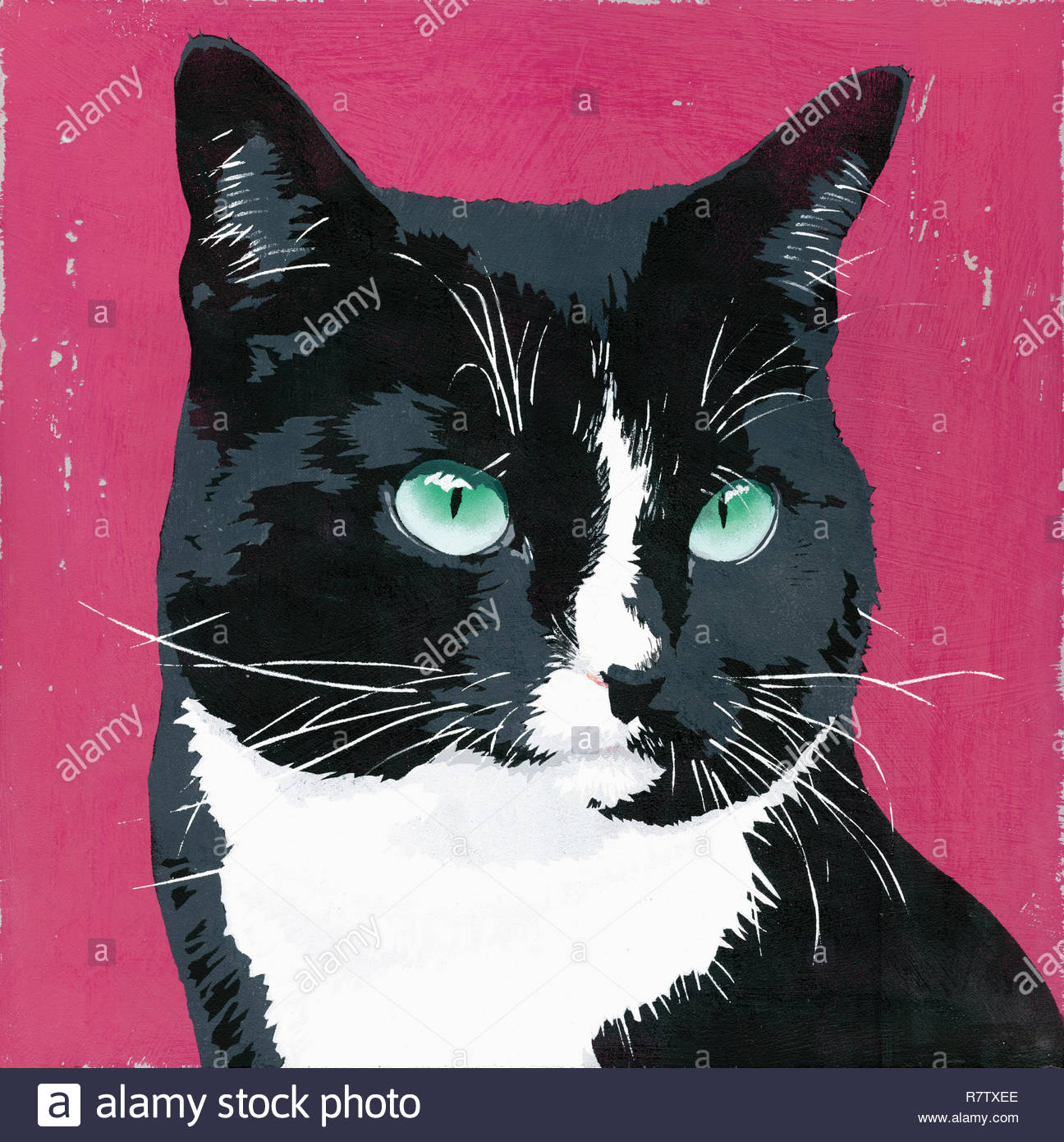 Peinture De Chat Noir Et Blanc Banque Dimages Photo Stock