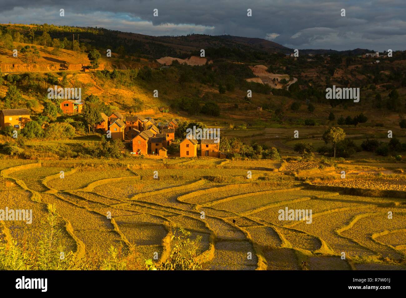 Madagascar, hauts plateaux du centre, ancienne province d'Antananarivo,  région du massif Ankaratra, Route Nationale 7, les rizières Photo Stock -  Alamy